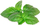 Kapsula bimore Click & Grow Marseille Basil, për kopsht smart, pako me 3 copë, jeshile