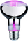 Poç elektrik Paulmann Plant R80, LED, E27, 6.5W, 230V, transparent