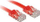 Kabllo rrjeti Lindy RJ-45, CAT 6, 1.0m, e kuqe