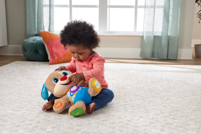Lodër edukative Fisher-Price FPM65 Funny Puppy, interaktive, për bebe 6m+, shumëngjyrëshe