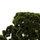 Bimë sintetike Beauty Pine (BONSAI) në vazo (HM7976)