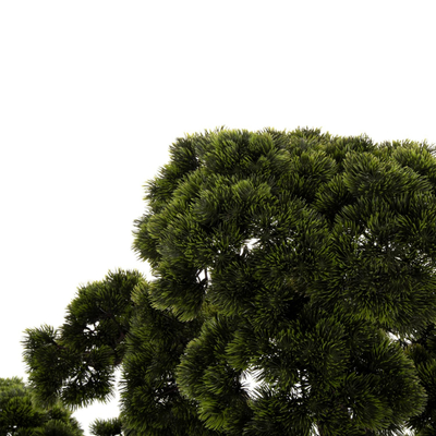 Bimë sintetike Beauty Pine (BONSAI) në vazo (HM7976)