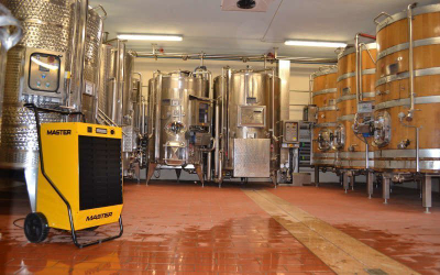 Avullus lagështie Master DH 44, 41L në ditë, profesional, i verdhë