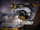 Teh sharre Dewalt, 305mm, 30mm, 16 dhëmbë