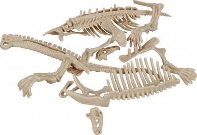 Lodër skelet dinosauri Mega Creative 502337, për ta montu vetë, në tub plastik, bezhë