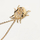 Qafore PDPAOLA LUCK Beetle Amulet CO01-254-U
