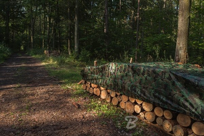 Çadër mbuluese Bradas Tarpaulin CAMOforest, 6 x 12 m, 90 g m², me kamuflazh