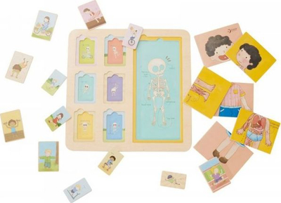 Puzzle trupi njerzor Classic World Body Puzzle, puzzle druri, me 3 shtresa, shumengjyrësh