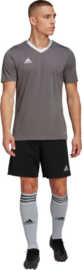 Fanellë stervitje adidas Entrada 22 M HE1574, me teknologji Aeroready, gri