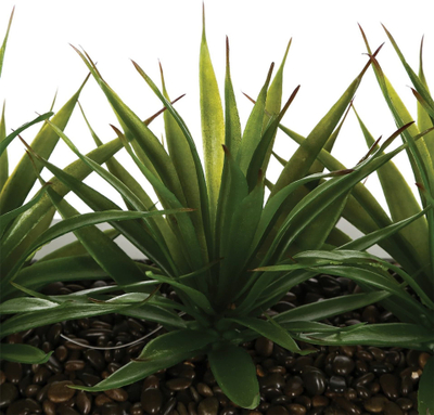 Vazo dekorative me bimë artificjale Aloe Vera, 3 fidane, 31x16x17 cm, jeshile