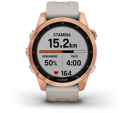 Orë e mençur Garmin SB 010-02539-11