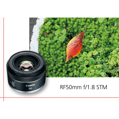 Lente Canon RF 50mm f/1.8 STM