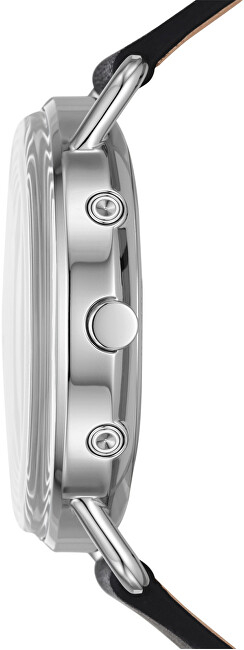 Orë dore Skagen Horizont SKW2947 hSK209