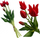 Buqetë lulesh artificiale Saska Gift and Decor Tulip, 5 copë, 40 cm, e kuqe