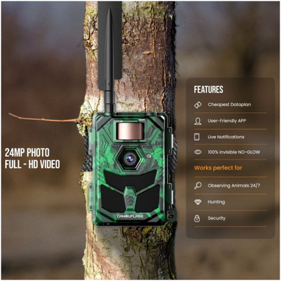 Product Picture
