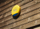 Sirenë e jashtme Yale Outdoor Siren, 100dB, për Yale Home App, e verdhë