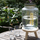 Kavanoz pije Leonardo Succo, 7L, qelq transparent