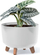 Vazo lulesh Prosperplast GRACIA STANDARD, 20 cm, plastike, antracit