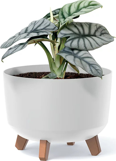 Vazo lulesh Prosperplast GRACIA STANDARD, 20 cm, plastike, antracit