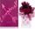 Parfum Lovestruck, 100 ml