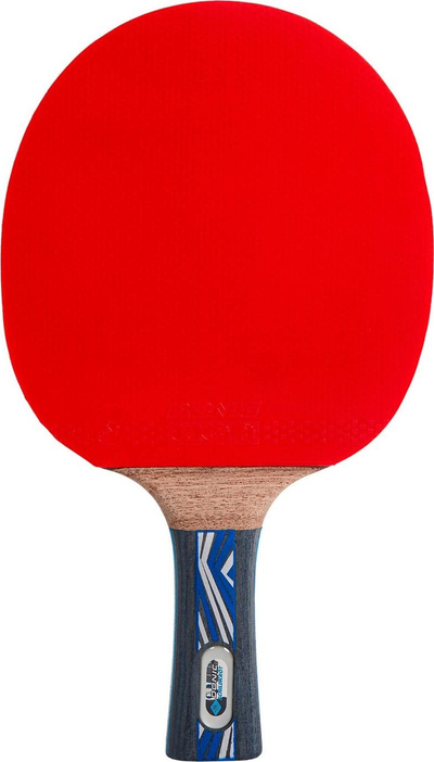 Paletë pingpongu Donic Legends Platinum, karboni, sfungjer 2.3 mm, me çantë mbrojtëse