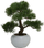 bimë plastike bonsai Boltze, 33 cm, për mrena, jeshile