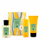 Set Acqua Di Parma Colonia Futura - Eau de Cologne 100 ml + xhel dushi 75 ml + deodorant 50 ml
