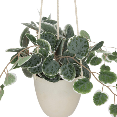 Bimë artificiale varëse Atmosphera Lourmarin, vazo çimentoje, 80cm, e bardhë