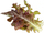 Rimbushje sallate Click & Grow Red Oakleaf Lettuce, 3 kapsula, për kopsht inteligjent