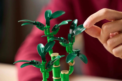 Model ndërtimi LEGO Icons 10344 Lucky Bamboo, set dekorativ, shumëngjyrësh