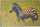 Mbulesë tavoline Adar Foam Zebra, 60 x 40 cm, bardhë me të zezë