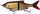 Karrem artificial Savage Gear 3D Roach Shine Glider PHP, fundosje e ngadaltë, grepë treshe, shumëngjyrësh