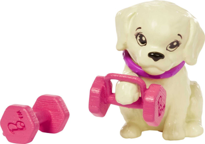 Kukull Barbie Mattel Relax Fitness HKT91, me aksesorë sportivë, shumengjyrëshe