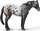 Figurinë Collecta Blue Roan Appaloosa, lodër edukative, shumëngjyrëshe