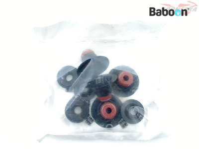 Set susta valvulash Harley-Davidson 18013-03A, për XL 1200C Sportster 2004+, metalik