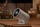Projektor Samsung SP-LFF3CLAXXXH Ultra DLP, 1080p, i bardhë/ zi