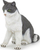 Figurë lodër PAPO Dog and Cat Companions Si, PVC, gri me të bardhë