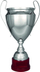 Kupë ceremoniale Tryumf Cup 2020C, 51cm, ngjyrë ari
