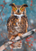 Puzzle Castorland Owl (52387), shumëngjyrësh