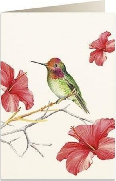 Kartolinë Tassotti B6 Hummingbird, me zarf, letër 200g