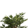 Bimë sintetike Pema Bambu 155cm (HM4003)