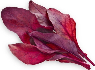 Kapsula bimore Click and Grow Red Leaf Beet, refill për kopsht inteligjent, paketim 3 copë, e bardhë