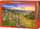 Puzzle me 500 copa Harebells at Sunrise, 47 x 33 cm, shumëngjyrësh