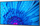 Monitor NEC MultiSync M431, 43 ", UHD 4K, i zi