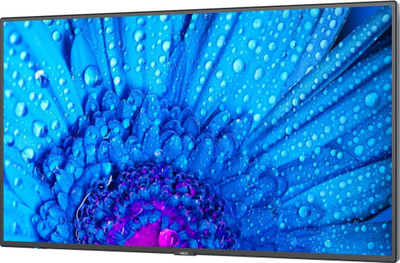 Monitor NEC MultiSync M431, 43 ", UHD 4K, i zi