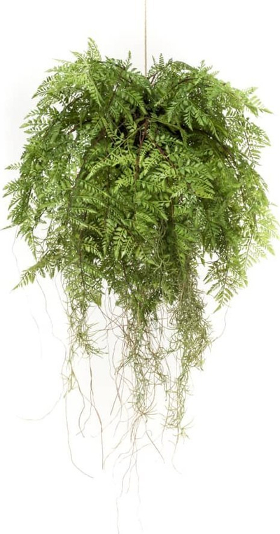 Bimë artificiale varëse Emerald Fern, 55 cm, me rrënjë, jeshile
