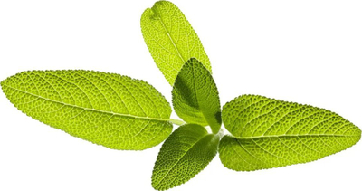 Kapsula me bimë Click &amp; Grow Garden Sage, set me 3 copë, për kopsht smart, e bardhë