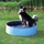 Pishinë për qen TRIXIE Splash Pool, palosëse, XX-Large, blu