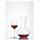 Gotë vere Zwiesel Glas Enoteca Sauvignon Blanc, 364 ml, 237 mm, transparente