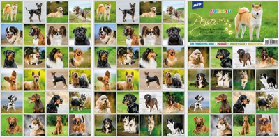 Lojë memorieje MFP Pexeso Dogs A4, 64 letra, për kalamaj